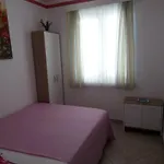 Mimoza *