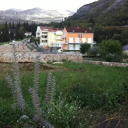 Mimoza Apartmán *