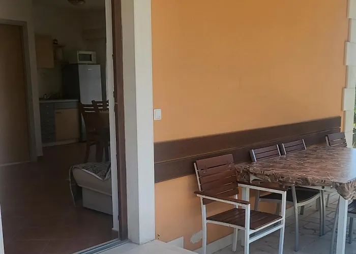 Mimoza *