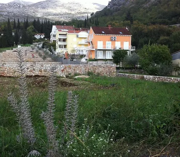 Mimoza Apartament *